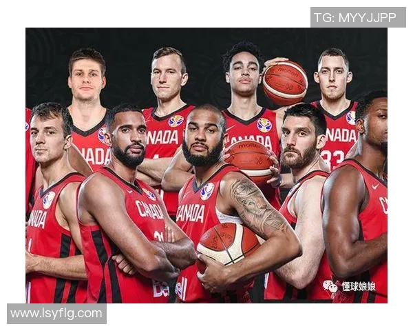 捷克与澳大利亚足球对决阵容分析及战术解读